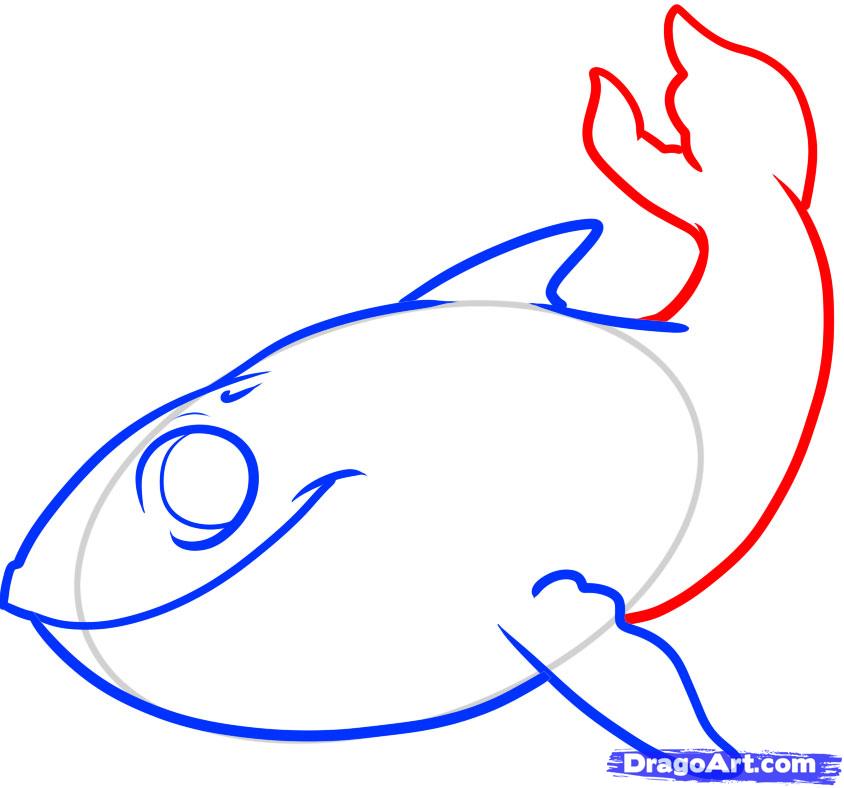 844x788 How To Draw A Blue Whale Step
