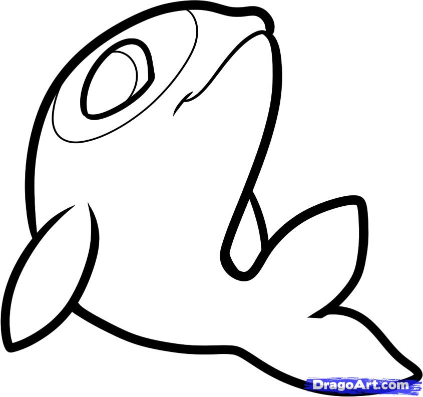 845x793 Step How To Draw A Killer Whale For Kids