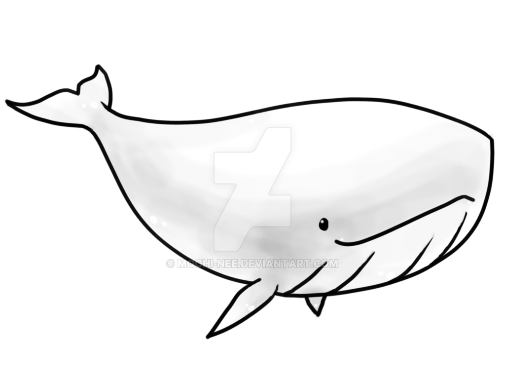 Killer Whale Outline Drawing