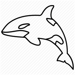 250x250 Drawing Shark Killer, Picture