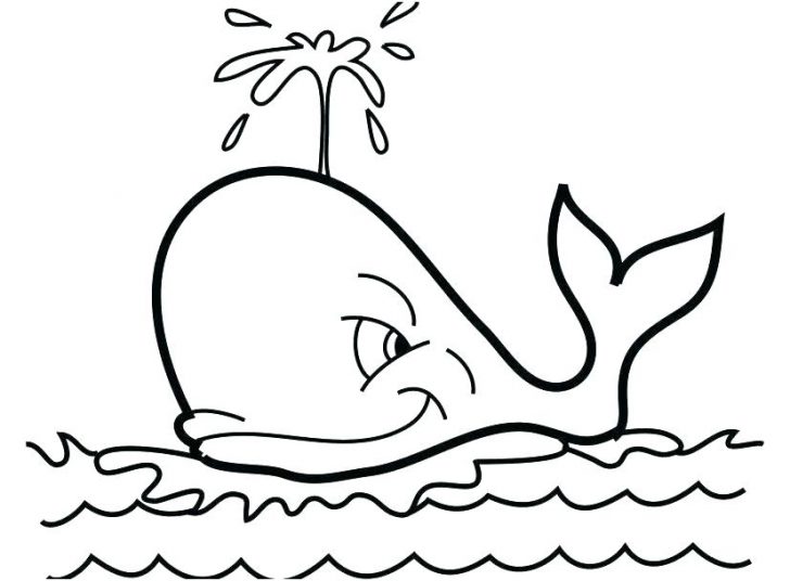 728x536 Free Killer Whale Coloring Pages Colouring Sheets Pictures Blue