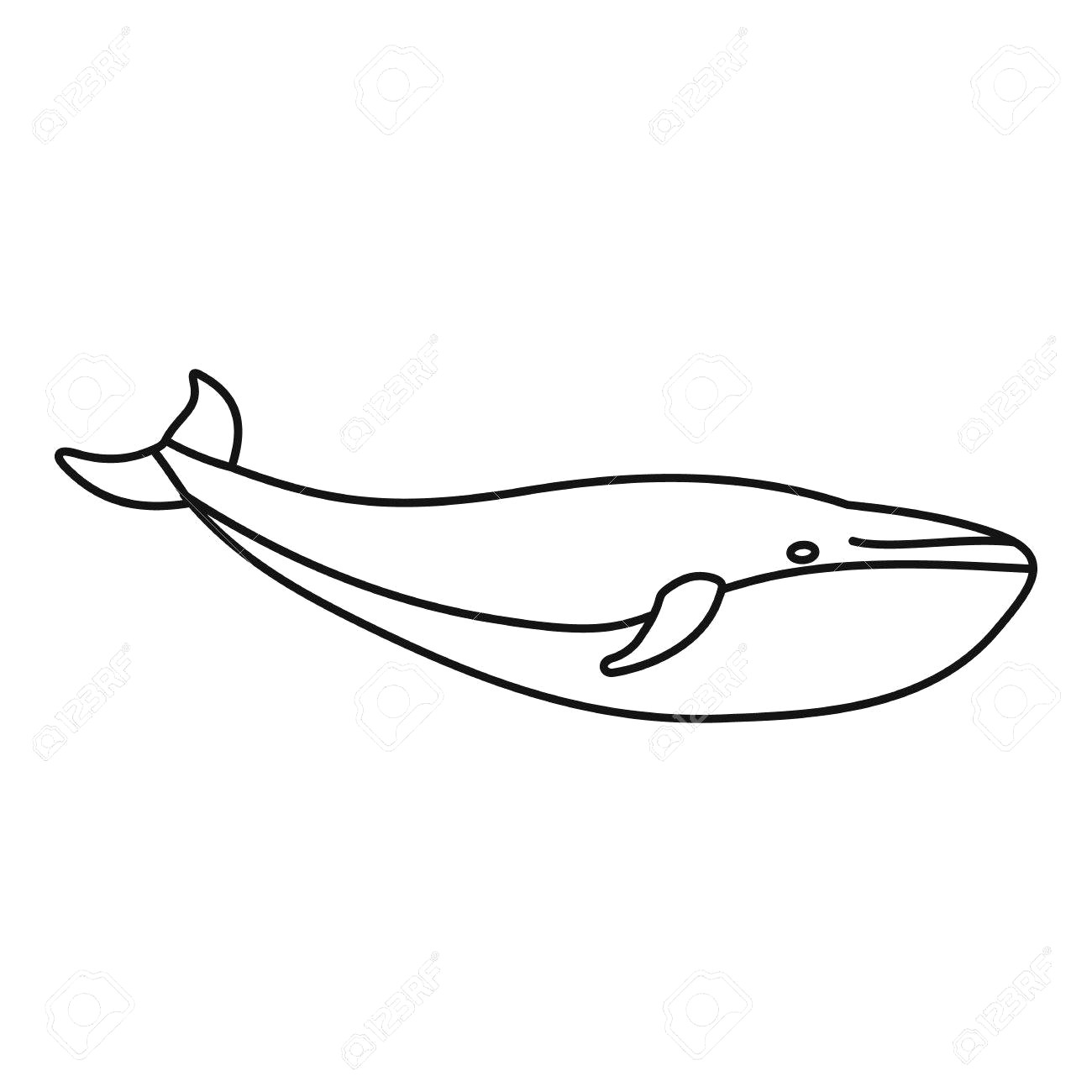 1300x1300 Killer Whale Outline Drawing