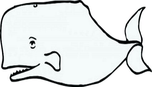 490x280 Whale Outline