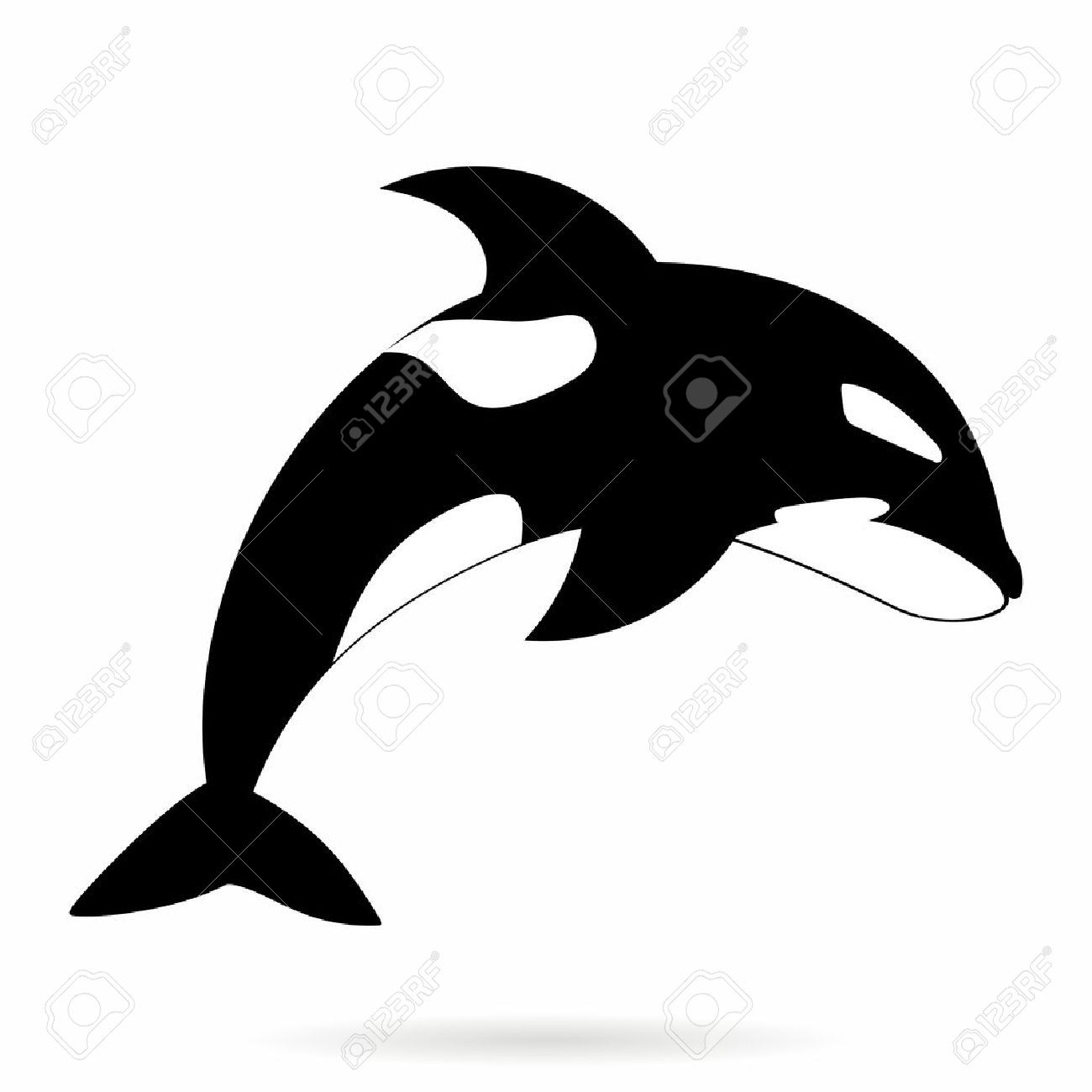 1300x1300 Vector Monochrome Simle Orca Killer Whale Outline