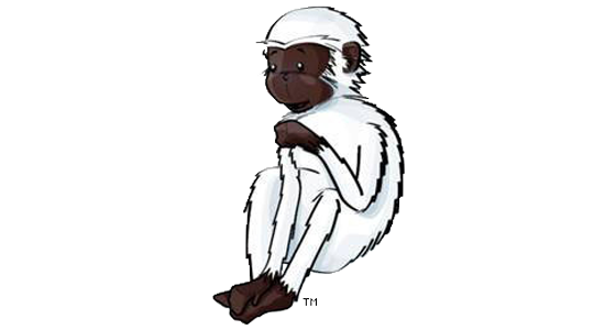 560x300 Xray Drawing Kindergarten Transparent Png Clipart Free Download