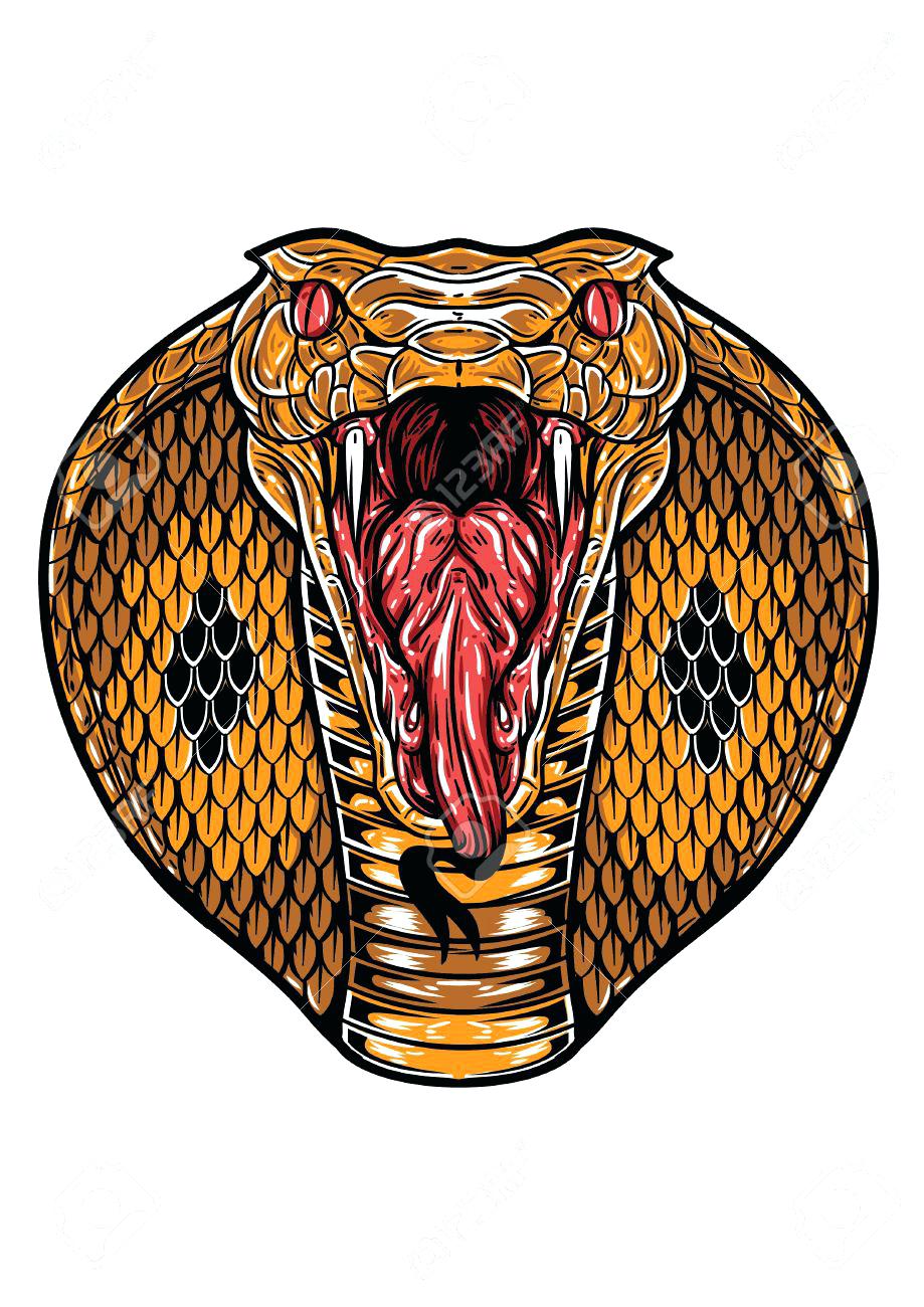 King Cobra Head Drawing Free download on ClipArtMag