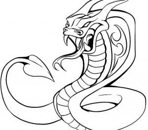 300x264 Excellent King Cobraing Pages Snake Drawings For Kids