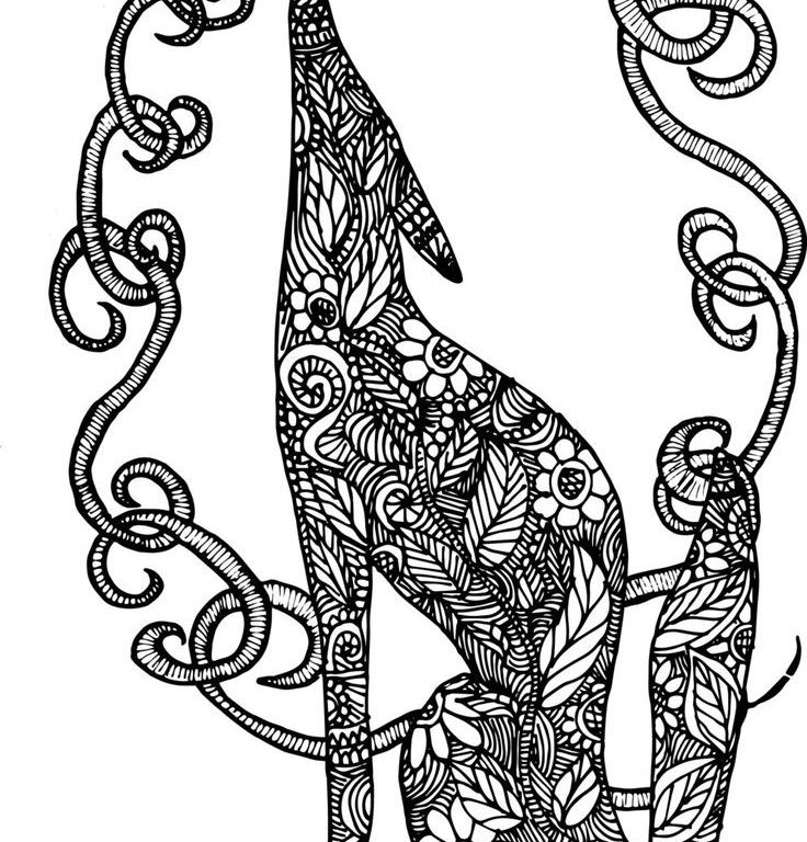 736x768 King Cobra Coloring Pages Excellent How To Draw And Anaconda
