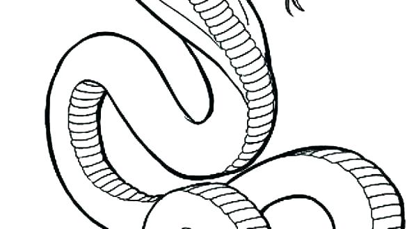 585x329 King Cobra Coloring Pages Profitable Pictures Of Snakes To Color