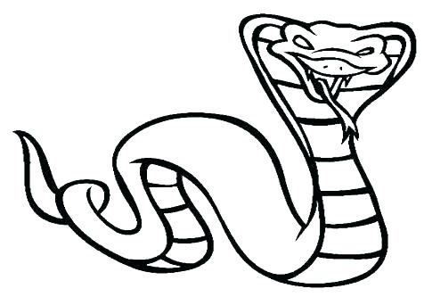 476x333 King Cobra Colouring Pages Snake Drawing At Free For Personal Use