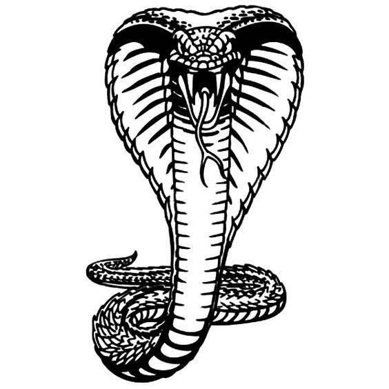 king-cobra-snake-drawing-free-download-on-clipartmag