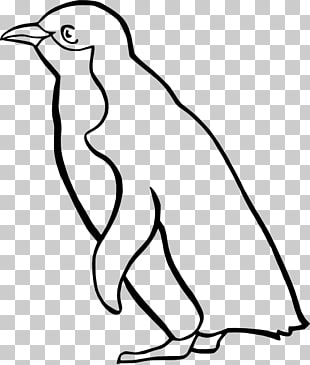 King Penguin Drawing