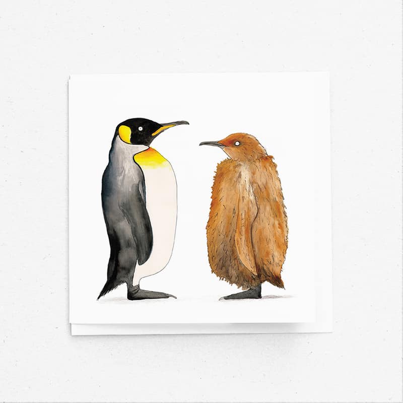 800x800 King Penguin Recycled Greetings Card