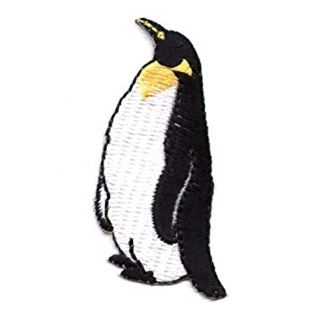 355x355 Arctic King Penguin