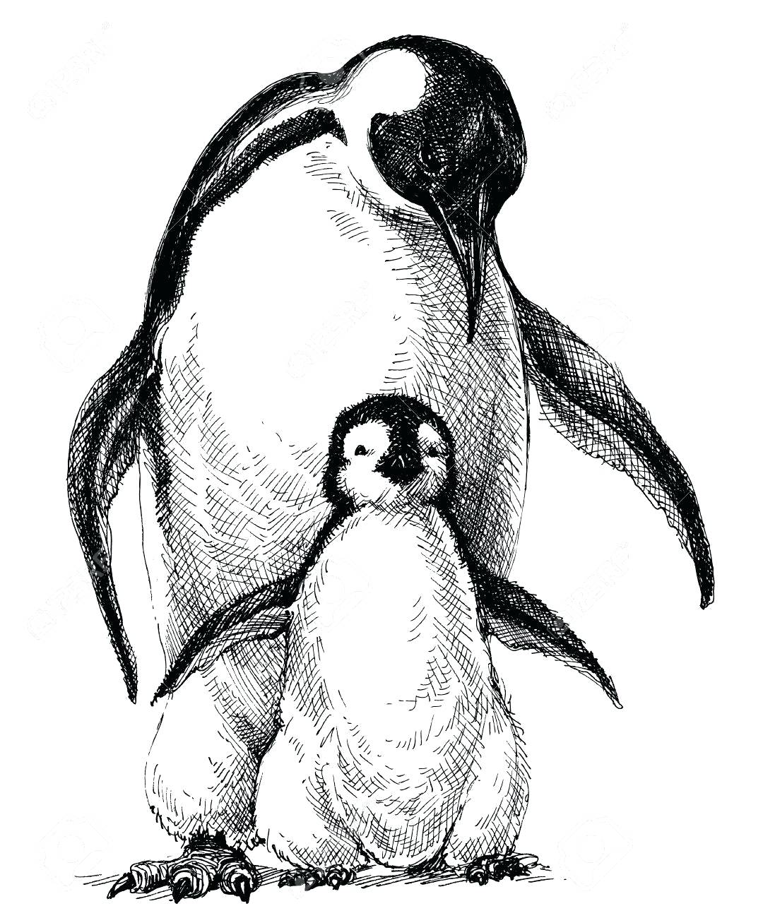 1080x1300 Penguin Black And White Emperor Penguin Clipart Black And White