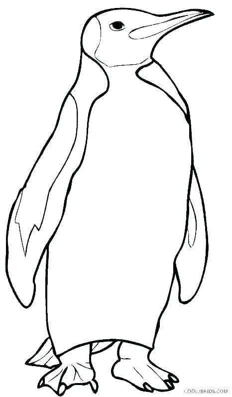 466x797 Penguin Colouring Pictures King Penguin Coloring