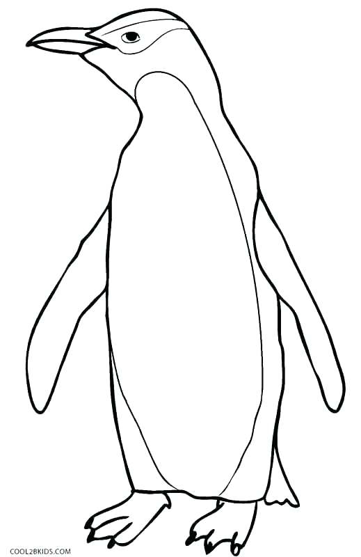 519x800 Superb Pictures Of Penguins To Colour Emperor Penguin Easy