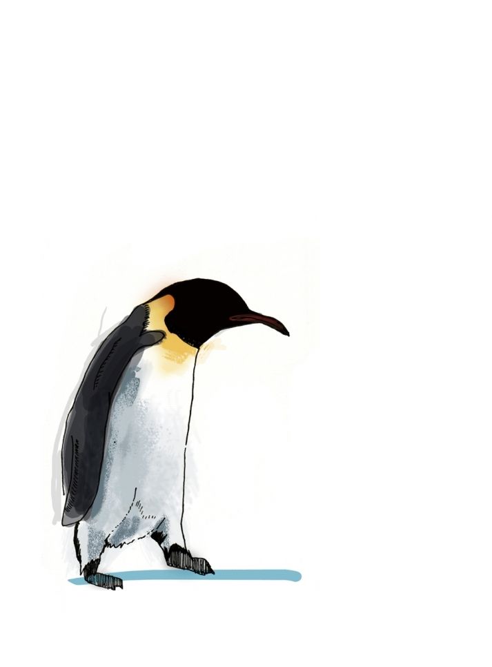 713x966 Penster Jewellery Penguin Watercolor, Penguin