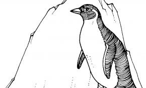 290x175 Beautiful King Penguin Coloring Sheet