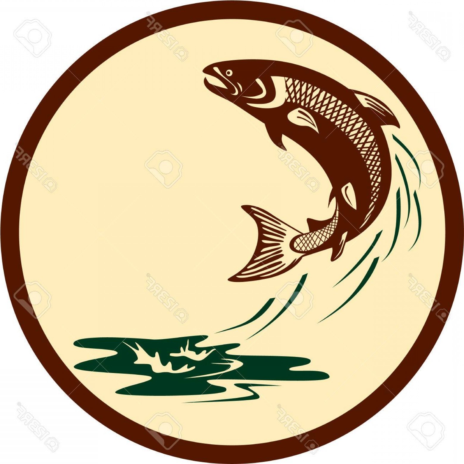 1560x1560 King Salmon Vector Art Soidergi