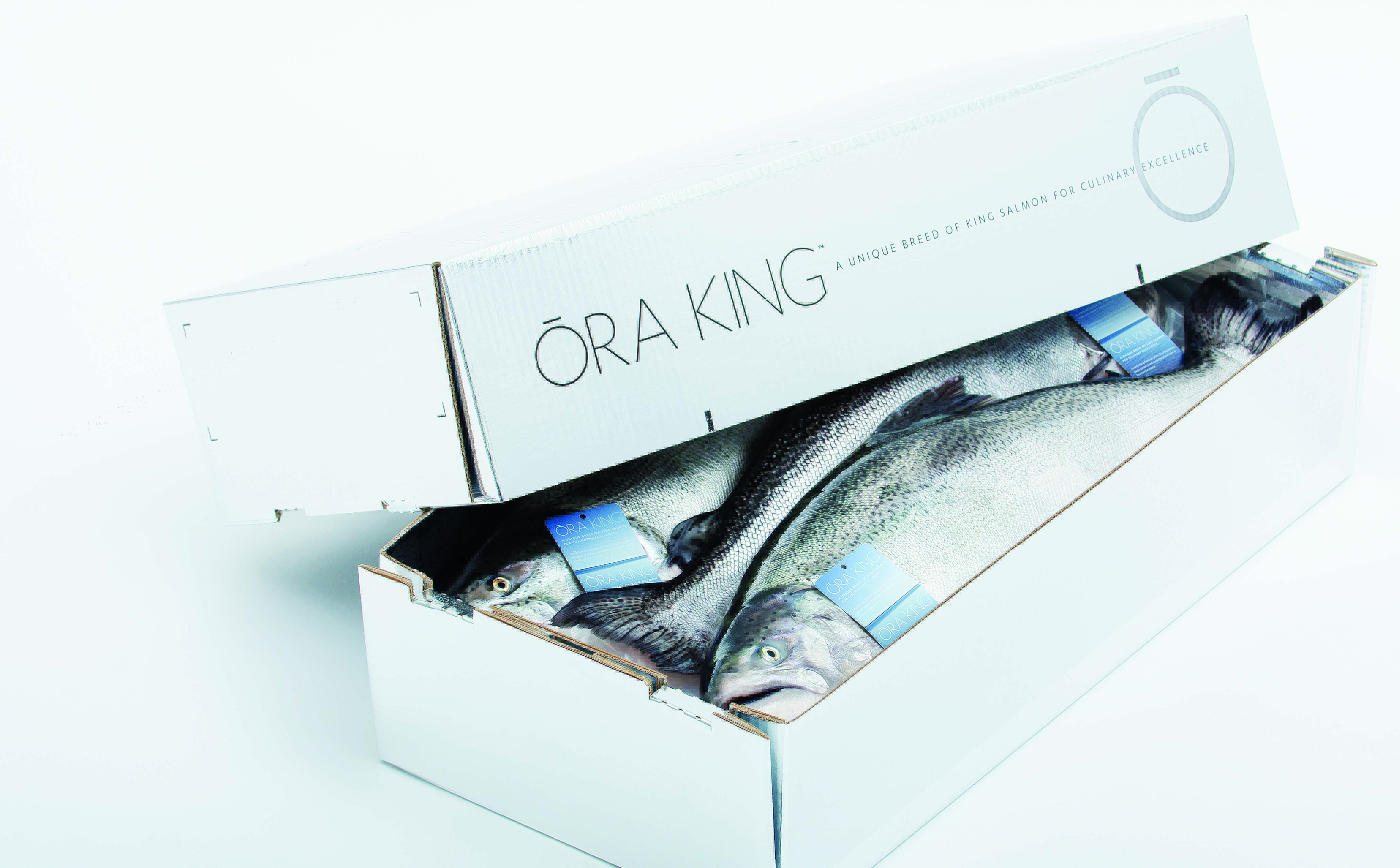 4114x2550 new zealand king salmon oraking cropped