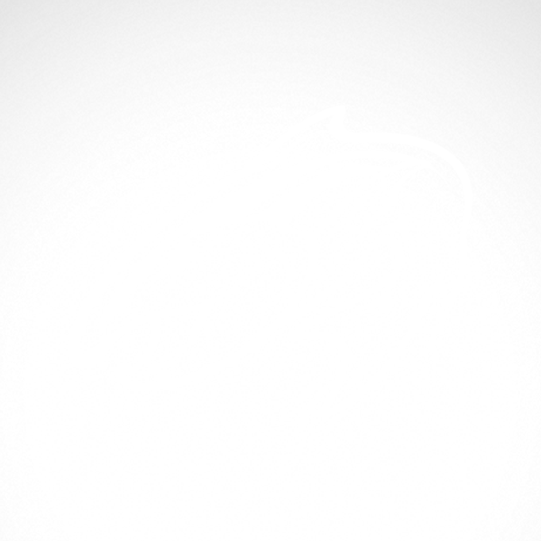 600x600 Simple Color Vinyl Salmon Fishing Stickers Factory