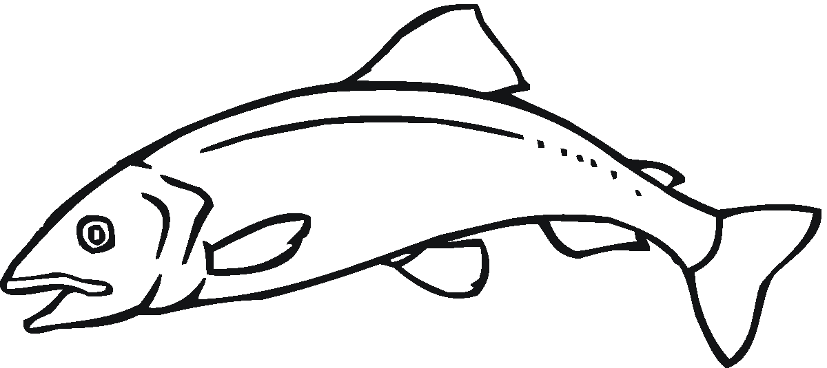 1200x535 Salmon Drawing Black And White For Free Download