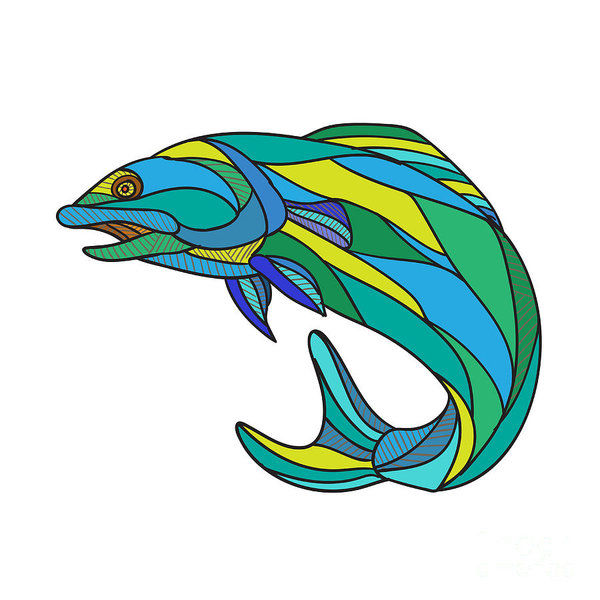 600x600 Atlantic Salmon Prints Fine Art America