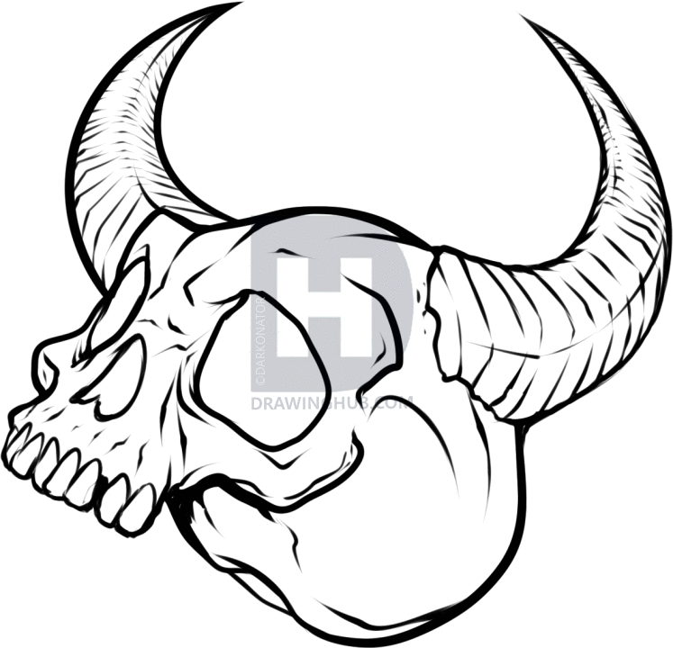 747x720 How To Draw Skull Tattoos, Skull Tattoos, Step