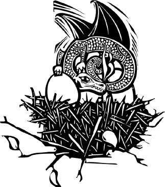 323x366 Kniga Chasing Embers