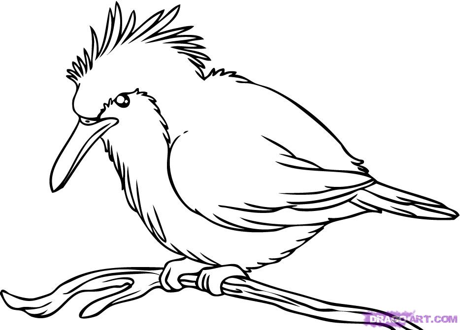 934x671 How To Draw A Kingfisher Bird, Step