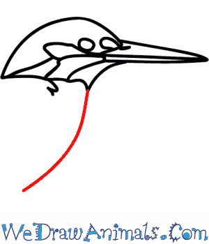 300x350 How To Draw A Kingfisher