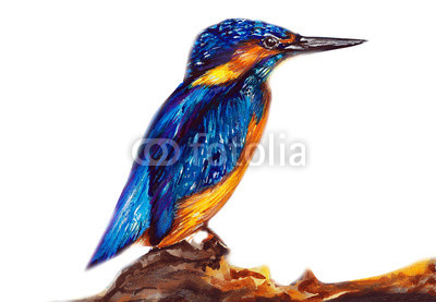 400x277 Kingfisher Bird Water Color Drawing Buy Photos Ap Images
