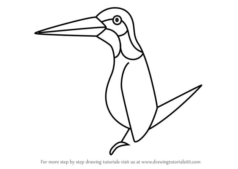 800x567 Learn How To Draw A Kingfisher For Kids