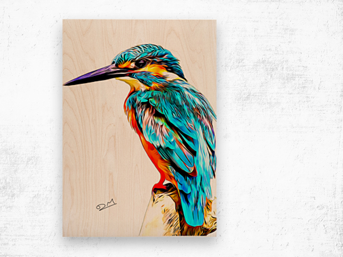 1200x900 Colourful Kingfisher Illustration