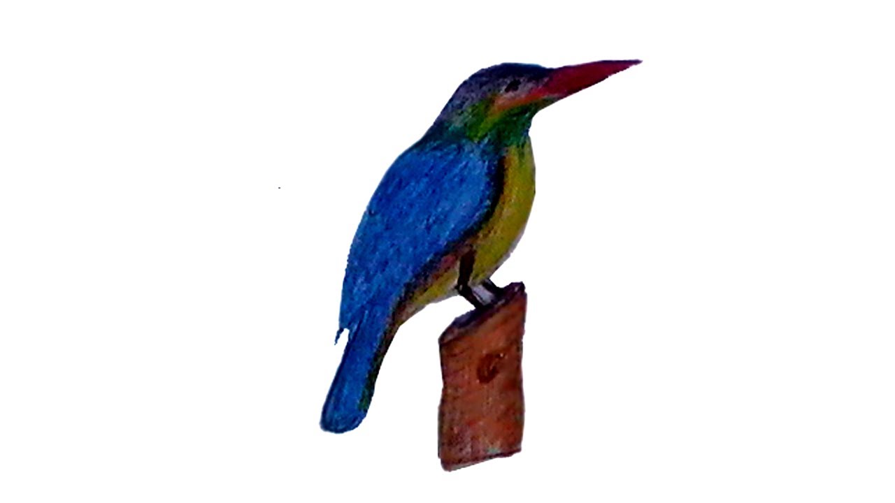 1280x720 How To Draw A Kingfisher Step