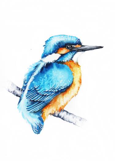 375x525 Kingfisher Painting
