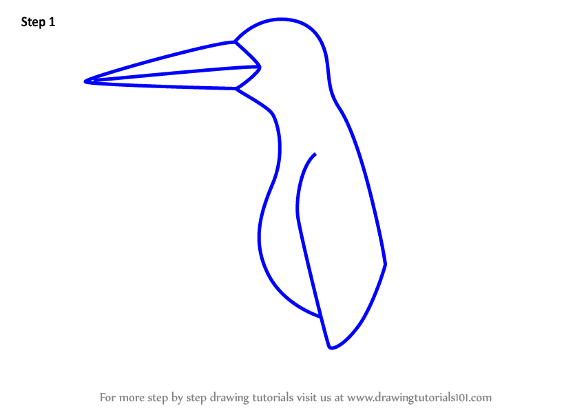 848x602 Learn How To Draw A Kingfisher For Kids