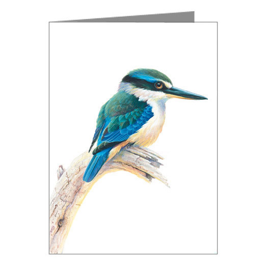524x524 Sacred Kingfisher Gift Card
