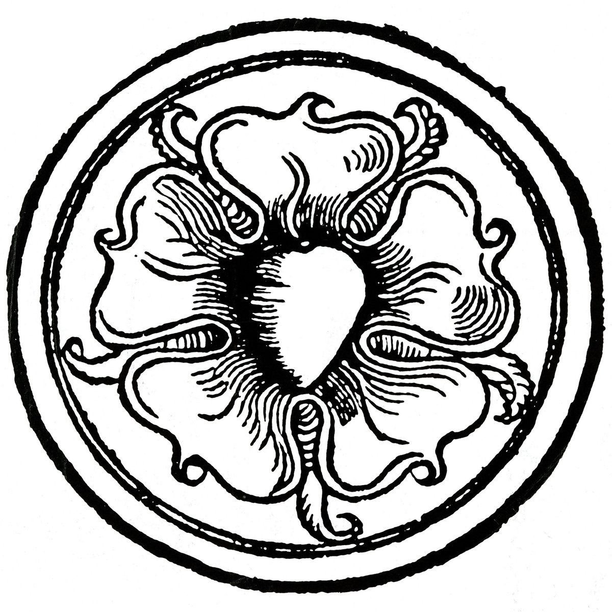 1200x1200 Kiss Of The Whip