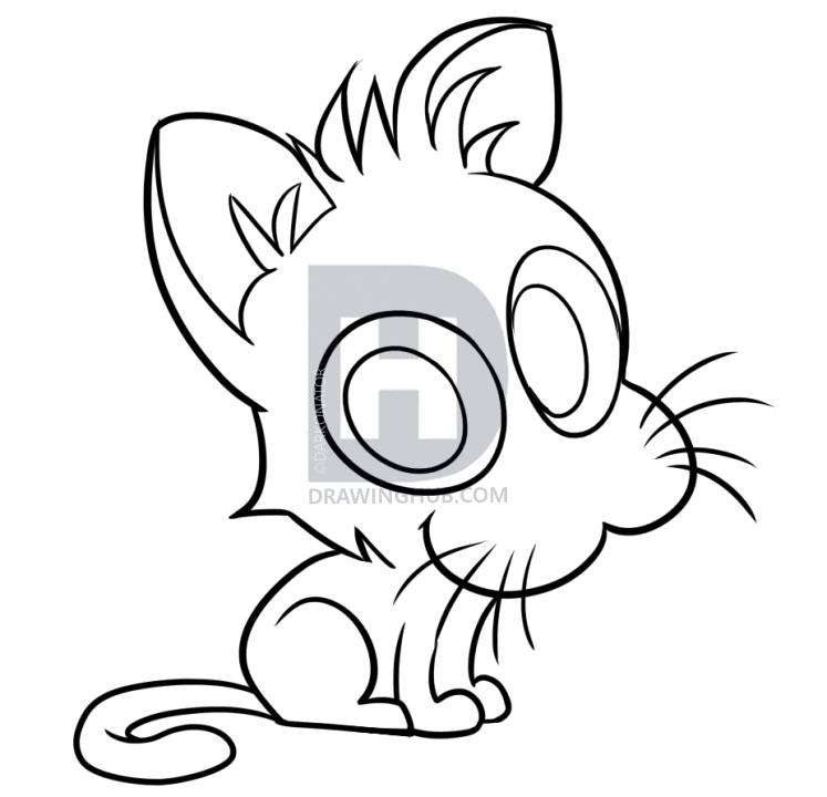 747x720 drawing stray kitten from kitbull, step