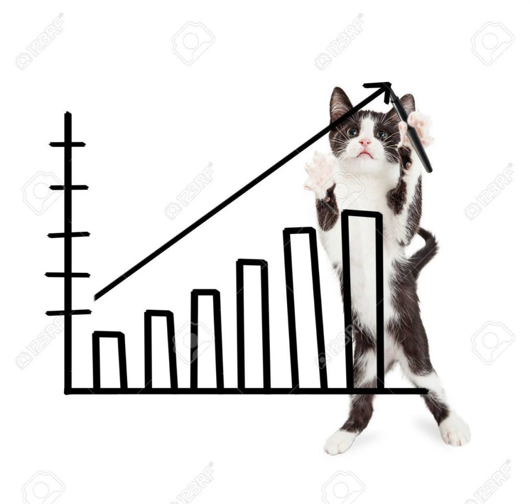 1084x1031 A Kitten Drawing Realistic Cute And Puppy Pictures Cat Head