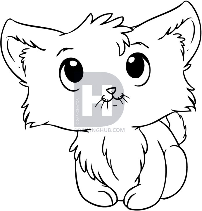691x720 How To Draw A Kitten, Step