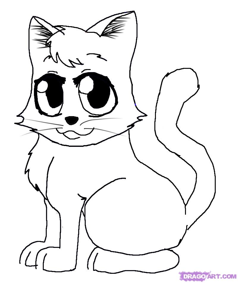 800x950 How To Draw A Chibi Kitten, Step