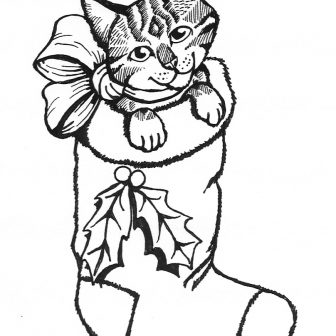 336x336 Kitten Drawing Simple Cute Step