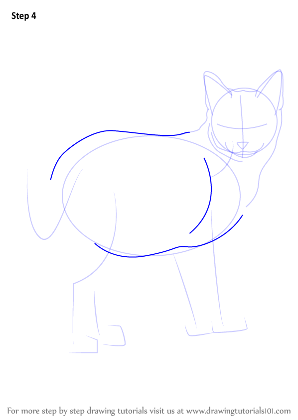 598x844 Learn How To Draw A Kitten