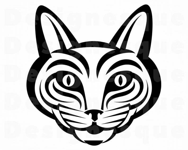 794x635 cat cat kitten cat face cute cat etsy