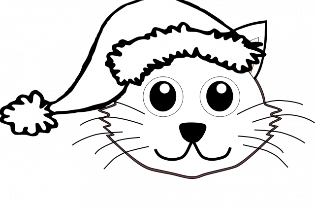 640x420 Collection Of Free Drawing Face Kitten Download On Ui Ex