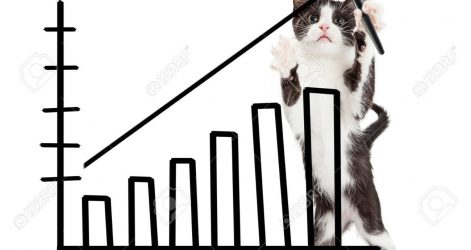 471x250 Cute Kitten Face Drawing Realistic Cat A Step