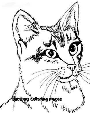 313x395 How To Draw A Kitten Face Unique Kitty Cat Coloring Pages Cat Dog